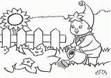 Coloring Garden Pages Flower Popular sketch template