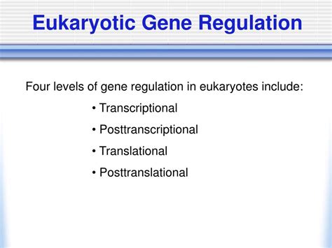 Ppt Eukaryotic Gene Regulation Powerpoint Presentation Free Download