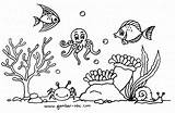 Laut Mewarnai Gambar Pemandangan Sketsa Bawah Hewan Alam Anak Dasar Marimewarnai Fauna Berwarna Menggambar Bagus Flora Ikan Diwarnai Dunia Biota sketch template
