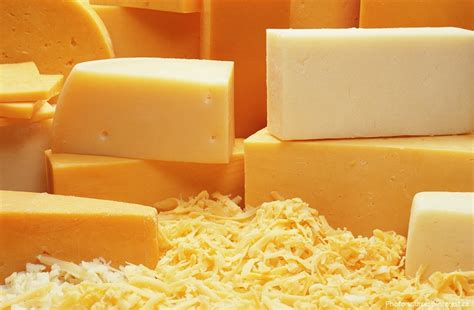 interesting facts  cheddar cheese  fun facts