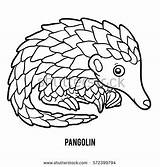 Pangolin Coloring Pangolino Pangolim Colorare Designlooter sketch template