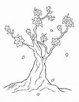 Blossom Cherry Tree Line Coloring Drawing Pages Simple Printable Drawings Clipart Lineart Japanese Kids Deviantart Library Dragon Collection Popular sketch template