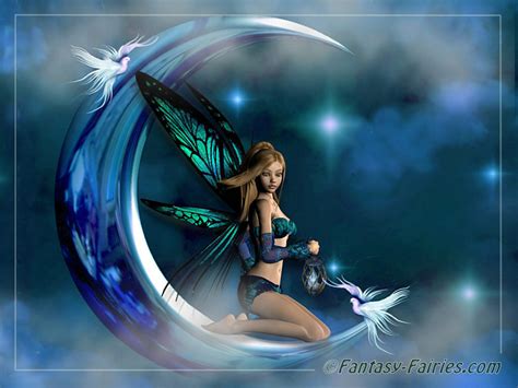 fairy fairies wallpaper  fanpop