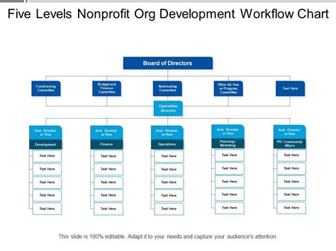 levels nonprofit org development workflow chart powerpoint