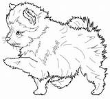 Coloring Pomeranian Pages Dog Printable Puppy Beagle English Dachshund Color Drawing Yankees Newfoundland Sheets Hard Old Supercoloring Books Spitz Puppies sketch template