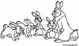 Coloriage Rabbits Dessin Lapins Paques Imprimer Lapin Colorier Conejos Imprimé Jecolorie sketch template