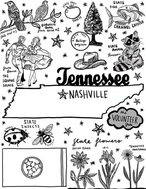 tennessee coloring page instant  etsy