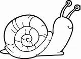Caracol Snail Snails Desenhos Vectores Query Filtros Eliminar Params sketch template