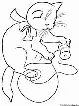 Gambar Mewarnai Kucing Cat sketch template