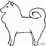 Pomeranian Coloring Pages Puppy Printable Drawing Book Supercoloring Getcolorings Color Getdrawings Designlooter Popular Dot Template Drawings sketch template