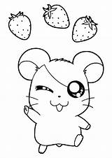 Hamtaro Strawberries Coloring Pages Strawberry Categories sketch template