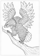 Aigle Coloriage Adulti Uccelli Aquila Adulte Aves Imprimer Justcolor Oiseau Zentangle Adultos Animaux Coloriages Fly Stampare Oiseaux Pauline Colorate Comprendente sketch template