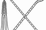 Egyptian Crook Flail sketch template