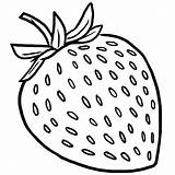 Fraise Frutta Aliments Olo Fondationolo Fragola Coloriages Stampare Fondation sketch template