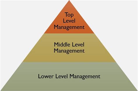levels  management human resource management