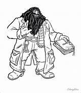 Harry Hagrid Colors sketch template