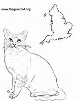 Cat Coloring Breeds Book Downloads Enjoy These sketch template