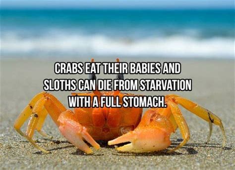 these facts are not so fun… 15 pics