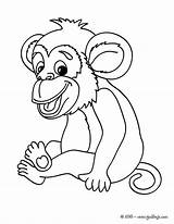 Affe Singe Hellokids Chimpance Affen Ausmalbilder Changos Imprimer Monos Imprimir Affenbaby Sur Imgde Gorilas Ausmalbild Chimpancés Chachipedia sketch template