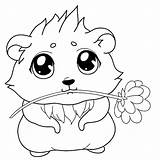 Hamster Emoji Blume Emoticons Cavy Augen Meerschweinchen Stockillustration Getdrawings Malvorlagen Olhos Erbsen sketch template