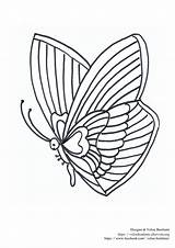Farfalla Colorare Disegno Farfalline Queste Dpf Scaricare Velise sketch template