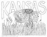Kansas Wichita Fromvictoryroad Undercover Kc sketch template