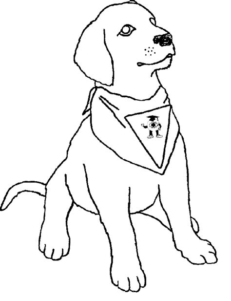 dog breeds coloring pages coloring home