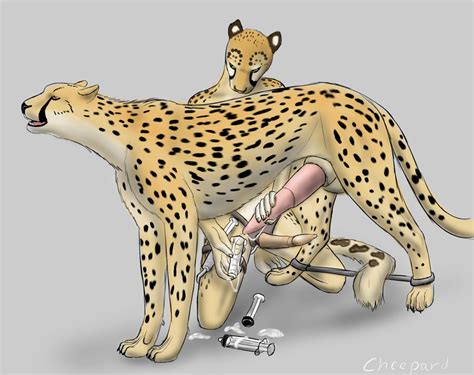 Rule 34 Anthro Anthro On Feral Bondage Cheepard Cheetah Cum Dildo Duo