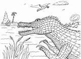 Suchomimus Crocodile sketch template