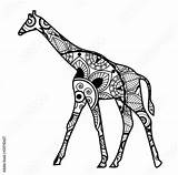 Mandala Giraffe Giraffa Colorare Vector Vettoriale Coloring Da Illustration Book Comp Contents Similar Search sketch template