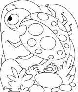 Coloring Pages Ladybug Printable Insect Kids Shell Lady Colouring Insects Egg Color Preschoolers Bird Comments Rocks Getcolorings sketch template