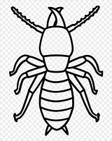 Termites Termite Coloring Drawing Pages Coloringbay Paintingvalley sketch template