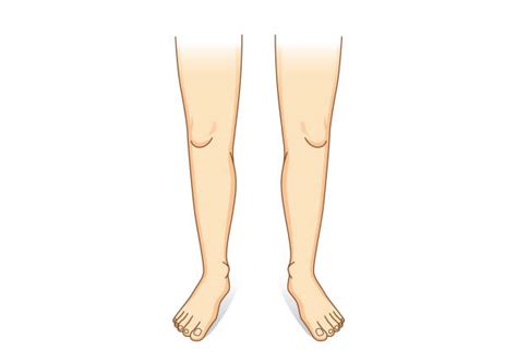 legs illustrations royalty free vector graphics and clip art istock