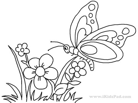 butterfly  flower coloring pages ag