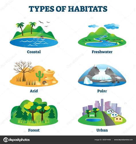 types  habitats vector illustration labeled  species home