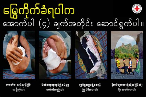 iec posters on hygiene and health in burmese resilience