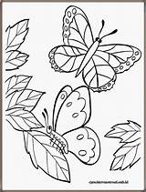 Kupu Mewarnai Hitam Bunga Diwarnai Realistic Kartun Hewan Mozaik Kumpulan Kolase Batik Lukisan Fauna Hias Ragam Lembar Insetos Freewaremini Bentuk sketch template