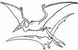 Coloring Pterosaur Pterodactyl sketch template