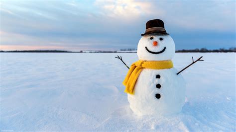 build  perfect snowman abc houston