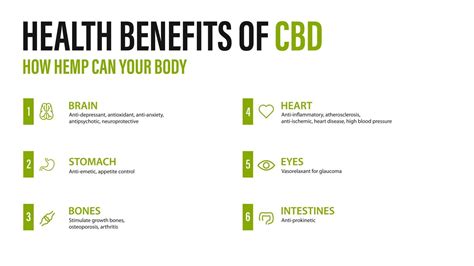 benefits of cbd for your body white poster with infographic health