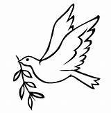 Dove Coloring Pages Color Animal Animals Peace Print Back sketch template