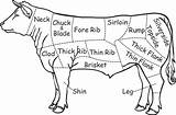 Beef Rindfleisch sketch template