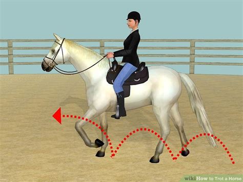 trot  horse  steps  pictures wikihow