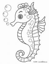 Coloring Seahorse Pages Print sketch template