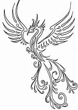 Phoenix Drawing Tattoo Outline Line Drawings Fenix Designs Tattoos Phönix Leigha Simple Pheonix Henna Sketch Arm Castro Getdrawings Angel Choose sketch template