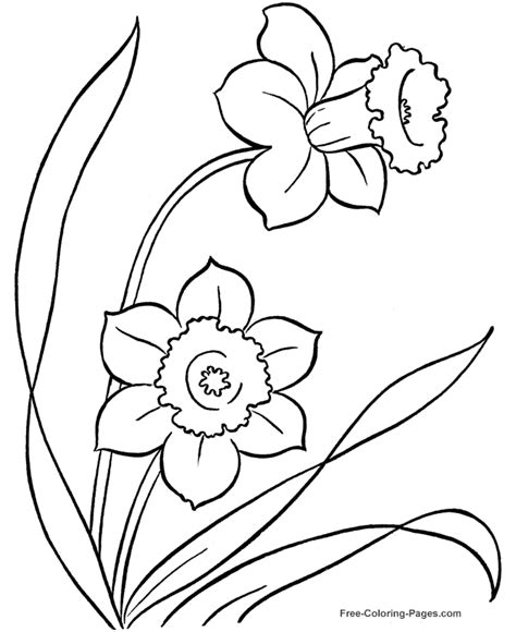 flower coloring pages  color
