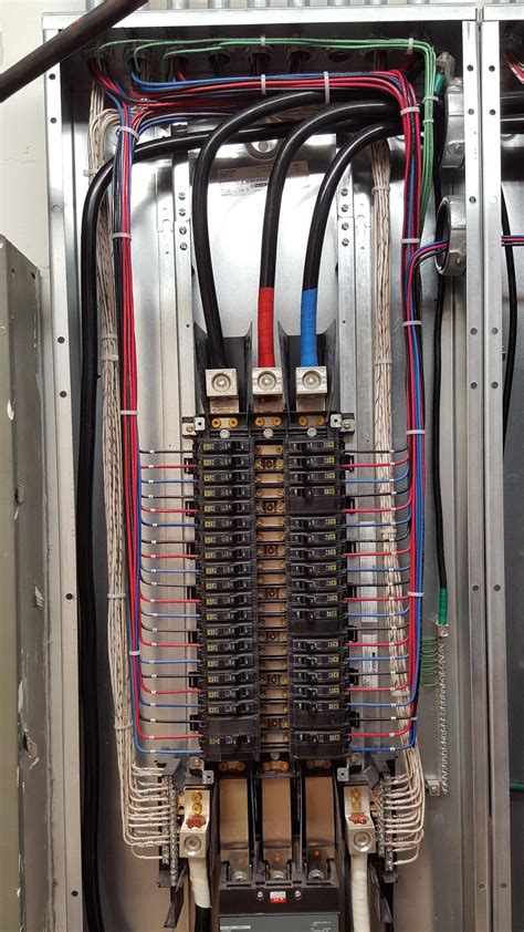 electrician wired  circuit breaker box     beauty cableporn