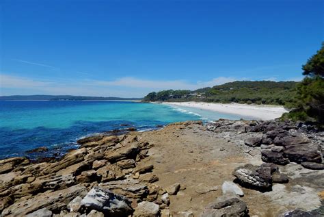 jervis bay nsw ultimate guide beeloved city