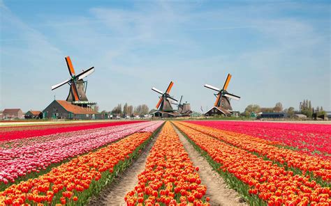 netherlands   longer  called holland travel leisure