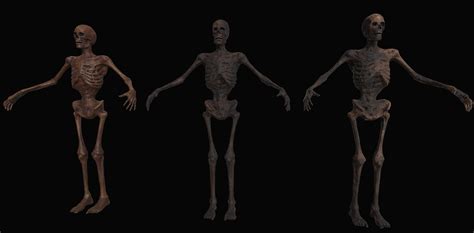 3d model skeleton zombies vr ar low poly rigged cgtrader